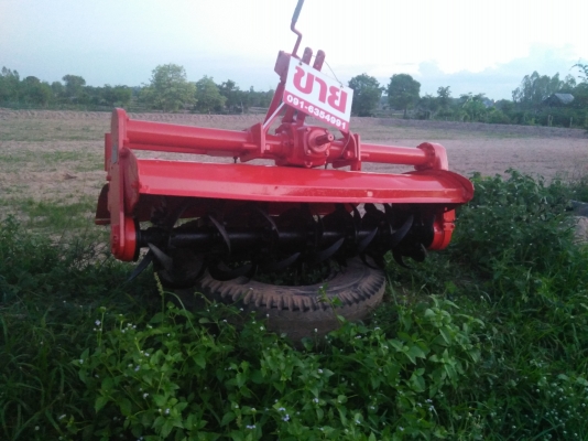 โรตาลี่