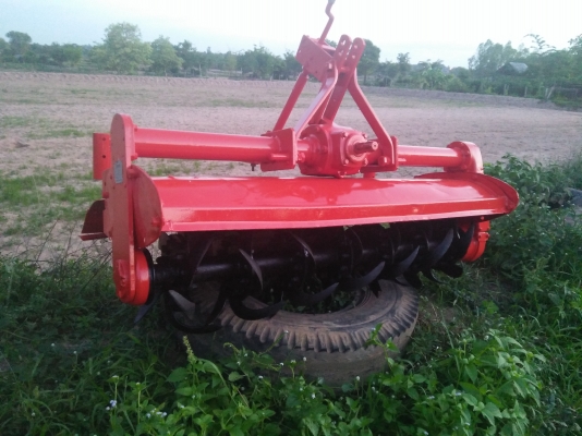 โรตาลี่