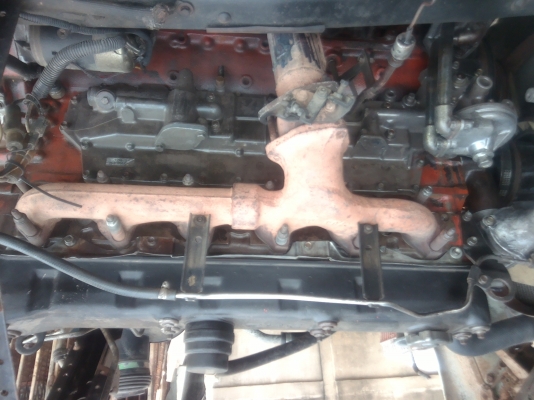 ขาย240นางฟ้าแท้ หัวคัสซี่8700000 คัสซี่สวย หัวใหม่ ราคาต่อลองได้ สนใจติดต่อ 062-5454-766หรือ063-159-2380