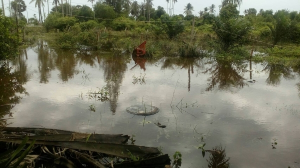 รถไถ KUBOTA  L4508. ( รถทำงาน 2,xxx ชม. )    สนใจติดต่อ  081 - 6079515