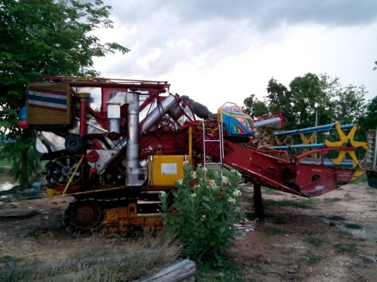 ขายจ้าวช้างปี51