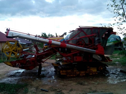 ขายจ้าวช้างปี51