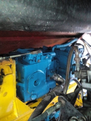 ขายจ้าวช้างปี51