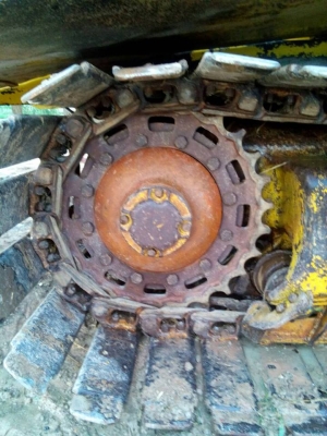 ขายจ้าวช้างปี51