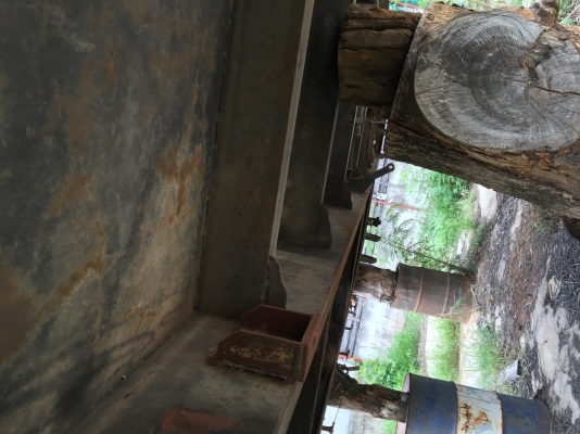 ขายกะบะปิเนียม