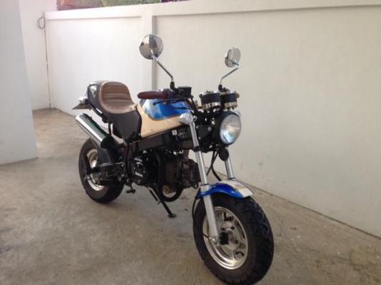 Stallion Solo 125 cc Mini Restro สวยใหม่วิ่งน้อยมาก สภาพป้ายแดง