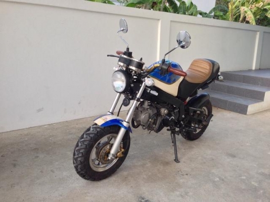 Stallion Solo 125 cc Mini Restro สวยใหม่วิ่งน้อยมาก สภาพป้ายแดง