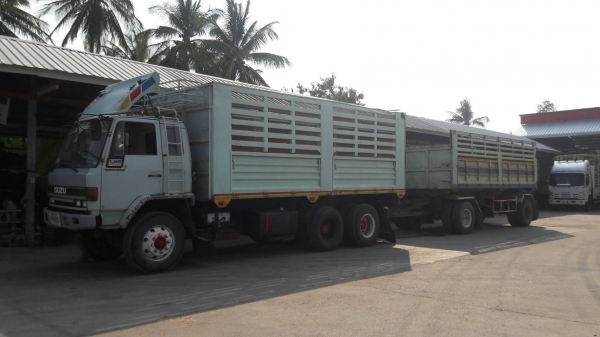 สิบล้อ อีซูชุ ร็อค 240นางฟ้า แม่ลูกดั้ม 2คาน สภาพดีสวยเดิมๆพร้อมใช้งาน ทะเบียนพร้อมโอน