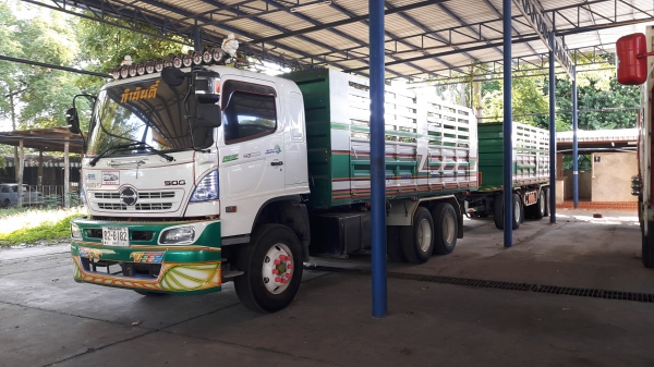 ขายเมคก้า380 ปี่55 แม่ลูก รถสวยๆ พร้อมใช้