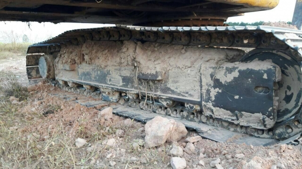 SH200. เหลืองดอกคูนพร้อมเล่มทะเบียน