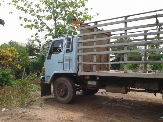 ขาย6ล้อใหญ่ ร็อคกี้175แรง ยาว5.5 ยาง900-20