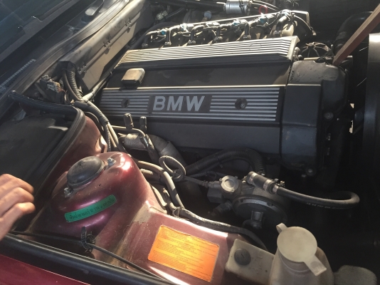 BMW525. ออโต้ BMW525. ออโต้