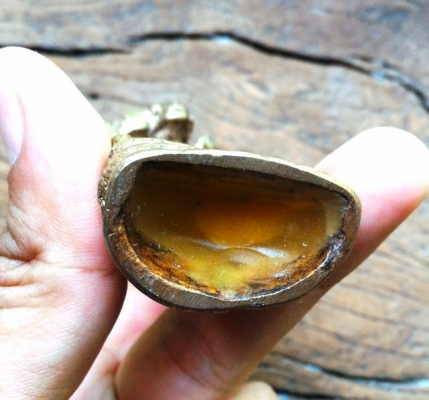 พระปางนาคปรก พระประจำวันเสาร์ เนื้อระฆังทองก้นอุดเทียนชัย ฐานกว้าง 1.7 นิ้ว สูง 3.6 นิ้ว