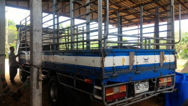 หกล้อ อีซูชุ NQR175ปี50 แอร์ พ.เวอร์ ยางเรเดียล ช่วงยาว5.50ม สภาพดีสวยบางเดิมไม่มีทีติพร้อมวิ่งงาน เล่มทะเบียนพร้อมโอน รถบ้านแท้สวยๆน่าใช้ หกล้อ อีซูชุ NQR175ปี50 แอร์ พ.เวอร์ ยางเรเดียล ช่วงยาว5.50ม สภาพดีสวยบางเดิมไม่มีทีติพร้อมวิ่งงาน เล่มทะเบียนพร้อมโอน รถบ้านแท้สวยๆน่าใช้