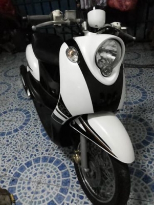 Fino เกย์แยกปี54