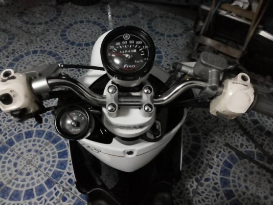 Fino เกย์แยกปี54