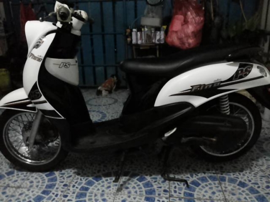 Fino เกย์แยกปี54