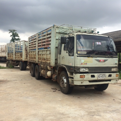 3mแท้แม่ลูกไม่ดั้ม