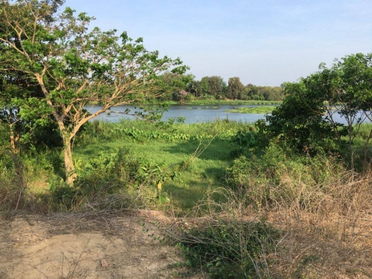 ขายที่ดินติดริมแม่นํ้าแม่กลอง ต.บางโตนด จ.ราชบุรี 3ไร่