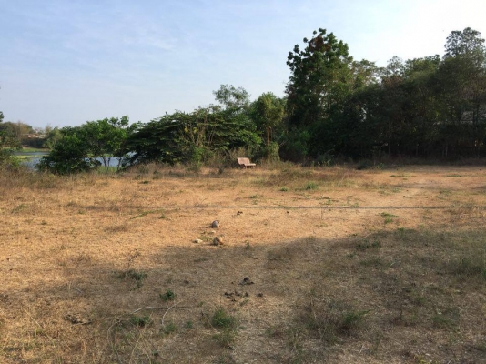 ขายที่ดินติดริมแม่นํ้าแม่กลอง ต.บางโตนด จ.ราชบุรี 3ไร่