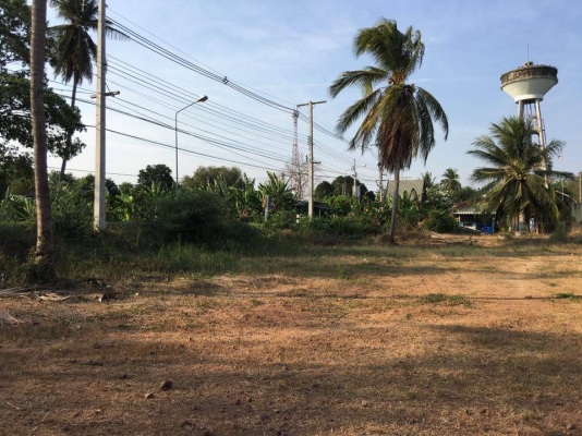 ขายที่ดินติดริมแม่นํ้าแม่กลอง ต.บางโตนด จ.ราชบุรี 3ไร่