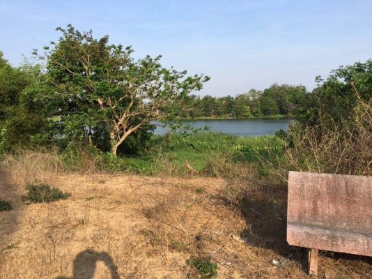 ขายที่ดินติดริมแม่นํ้าแม่กลอง ต.บางโตนด จ.ราชบุรี 3ไร่