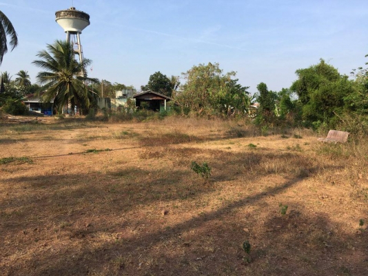 ขายที่ดินติดริมแม่นํ้าแม่กลอง ต.บางโตนด จ.ราชบุรี 3ไร่