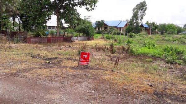 ขายที่ดินเปล่า ที่เอาเภอหนองกี่ บุรีรัมย์ ขายที่ดินเปล่า ที่เอาเภอหนองกี่ บุรีรัมย์