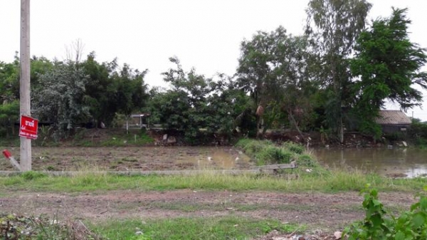 ขายที่ดินเปล่า ที่เอาเภอหนองกี่ บุรีรัมย์ ขายที่ดินเปล่า ที่เอาเภอหนองกี่ บุรีรัมย์