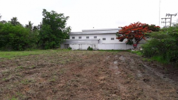 ขายที่ดินเปล่า ที่เอาเภอหนองกี่ บุรีรัมย์