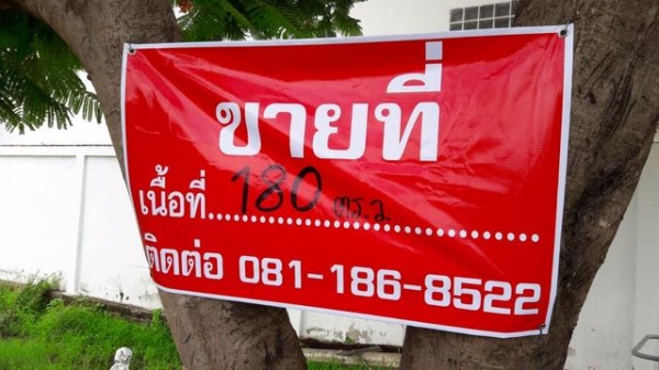 ขายที่ดินเปล่า ที่เอาเภอหนองกี่ บุรีรัมย์ ขายที่ดินเปล่า ที่เอาเภอหนองกี่ บุรีรัมย์