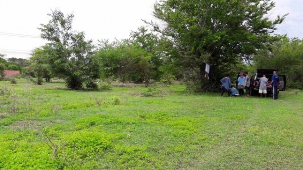 ขายที่ดินเปล่า ที่เอาเภอหนองกี่ บุรีรัมย์ ขายที่ดินเปล่า ที่เอาเภอหนองกี่ บุรีรัมย์