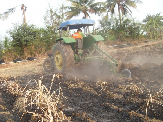 ขายจอนเดีย ด่วนๆ