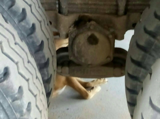 ขายพ่วงแม่ลูกดั้ม HINO 2K สภาพสวยพร้อมใช้ ราคาต่อรองได้ ติดต่อได้ที่คุณ อ๊อฟ พิจิตร 086-737-9991 ขายพ่วงแม่ลูกดั้ม HINO 2K สภาพสวยพร้อมใช้ ราคาต่อรองได้ ติดต่อได้ที่คุณ อ๊อฟ พิจิตร 086-737-9991