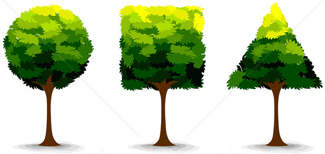 ขายตัดกิ่งเก่าญี่ปุ่นพร้อมใช้ 3,500บาท0835662999 LineID : hs4trp ขายตัดกิ่งเก่าญี่ปุ่นพร้อมใช้ 3,500บาท0835662999 LineID : hs4trp