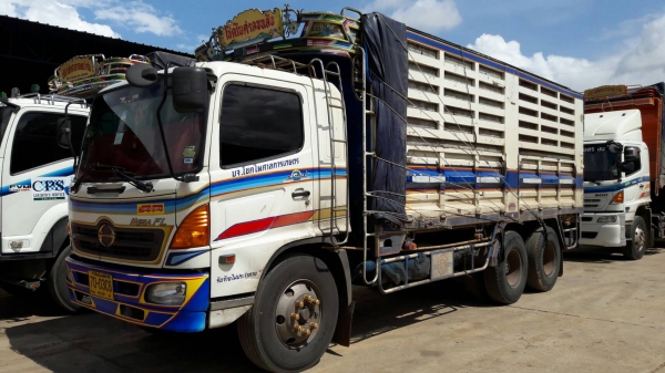 ขาย HINO240 แรง กระบะเหล็กไม่ดัมพ์ ปี 51 สนใจติดต่อสอบถามที่ 081-9832626 (เฮียโชค)