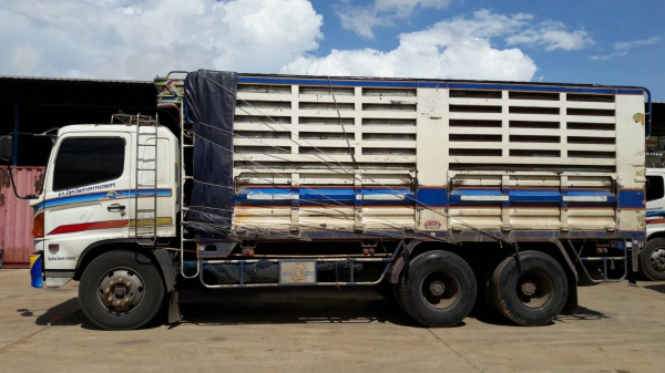 ขาย HINO240 แรง กระบะเหล็กไม่ดัมพ์ ปี 51 สนใจติดต่อสอบถามที่ 081-9832626 (เฮียโชค)