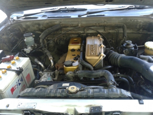 ขายอีซูสุ มังกรทอง