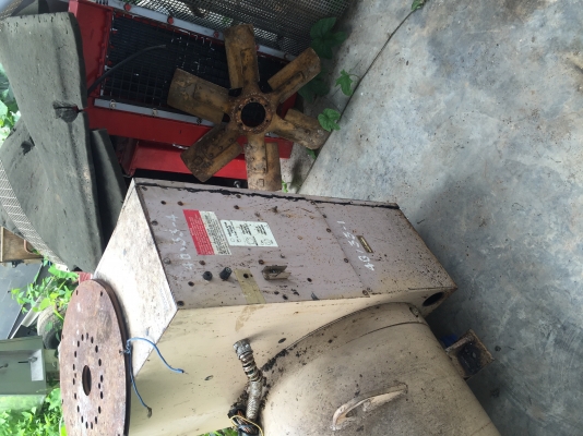 ขายไดมาราทอนแท้