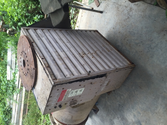 ขายไดมาราทอนแท้