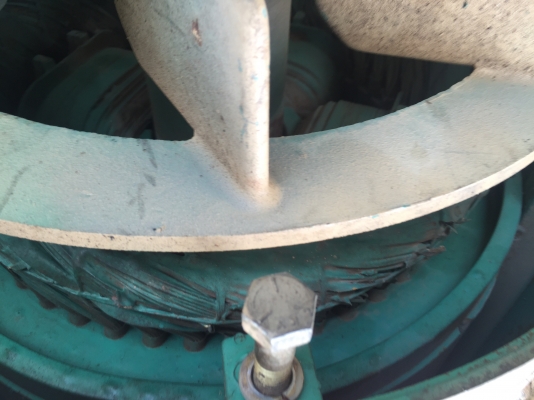 ขายไดมาราทอนแท้