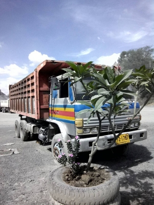 ขายสิบล้อดั้ม ขายสิบล้อดั้ม