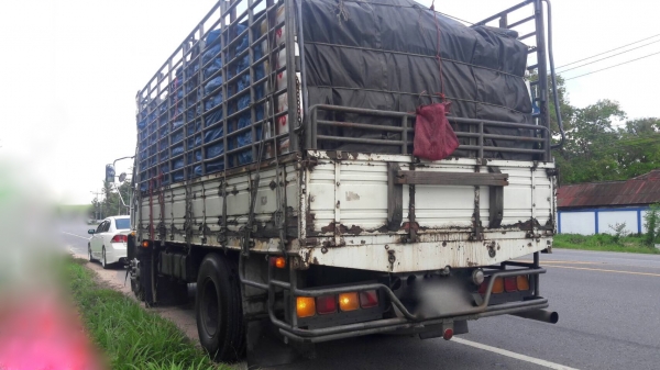 รถอีซูซุ 6 ล้อ ( รั้ว ) FTR 195 แรงม้า. ปี 47.   สนใจติดต่อ  081 - 6079515