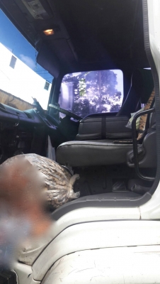 รถอีซูซุ 6 ล้อ ( รั้ว ) FTR 195 แรงม้า. ปี 47.   สนใจติดต่อ  081 - 6079515