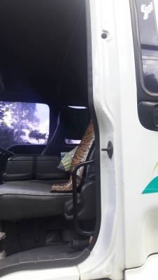 รถอีซูซุ 6 ล้อ ( รั้ว ) FTR 195 แรงม้า. ปี 47.   สนใจติดต่อ  081 - 6079515