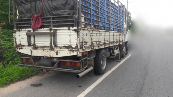 รถอีซูซุ 6 ล้อ ( รั้ว ) FTR 195 แรงม้า. ปี 47.   สนใจติดต่อ  081 - 6079515