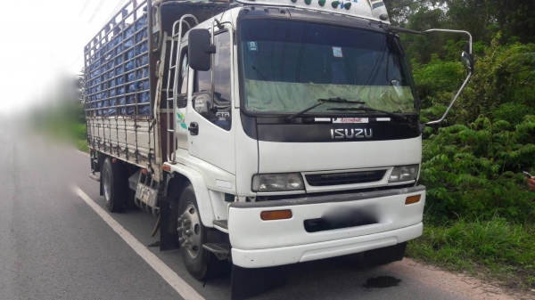 รถอีซูซุ 6 ล้อ ( รั้ว ) FTR 195 แรงม้า. ปี 47.   สนใจติดต่อ  081 - 6079515