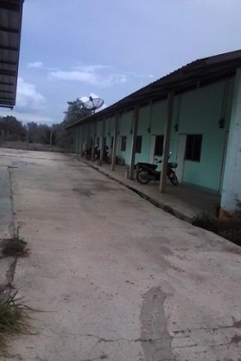 ที่ดิน พร้อม ห้องแถว 19 ห้อง