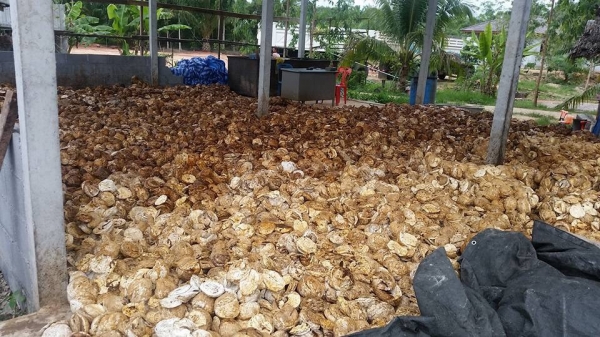 มองหารถโฟล์คลิฟท์งาเทฮิ้งค์ นึกถึงพีทีเอ ชลบุรี081-8342060 มองหารถโฟล์คลิฟท์งาเทฮิ้งค์ นึกถึงพีทีเอ ชลบุรี081-8342060