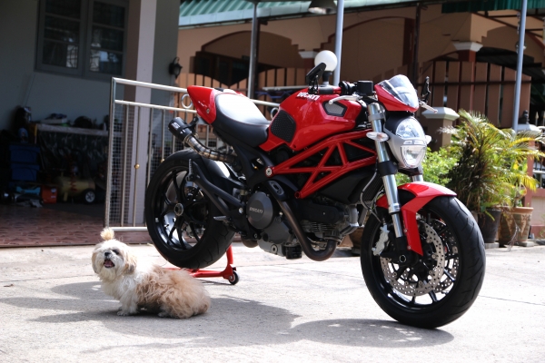 Ducati 796 ปี 2014 เลขไมล์ 3xxx km.